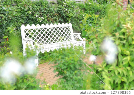 橫濱英式花園：繡球花與長椅 127898395