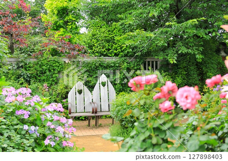 橫濱英式花園:繡球花與長椅 橫濱英式花園:繡球花與長椅 127898403