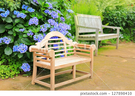 Yokohama English Garden: Hydrangeas and benches Yokohama English Garden: Hydrangeas and benches 127898410