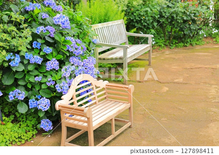 橫濱英式花園:繡球花與長椅 橫濱英式花園:繡球花與長椅 127898411