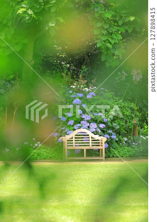 橫濱英式花園:繡球花與長椅 橫濱英式花園:繡球花與長椅 127898415