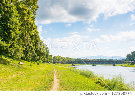 embankment with linden trees in blossom. travel destination. scenery by the river uzh on a sunny day. masaryk bridge in the distance 127898774