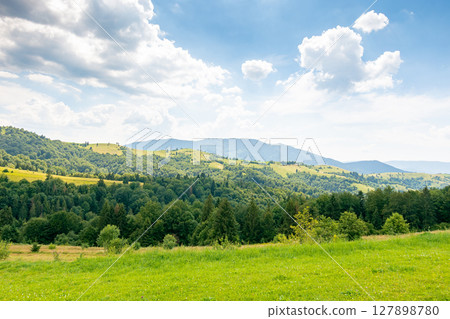 beautiful countryside of ukraine. green organic pasture. sunny day. scenic summer landscape in carpathian mountains. grassy field and rolling hills. rural scenery. lush woods beautiful countryside of ukraine. green organic pasture. sunny day. scenic summer landscape in carpathian mountains. grassy field and rolling hills. rural scenery. lush woods 127898780