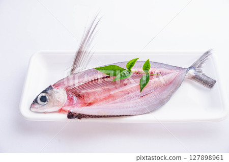 開背飛魚 127898961