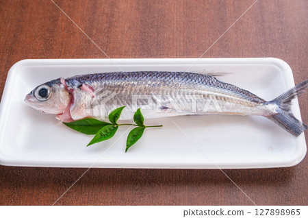 Flying fish 127898965