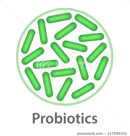 Probiotics bacteria icon, microbiome flora, lactobacillus bacterium. Probiotics bacteria icon, microbiome flora, lactobacillus bacterium. 127899302