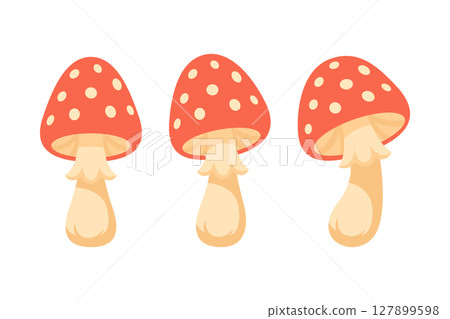 Cute Cartoon Fly Agaric Mushrooms Vector Illustration. Red Amanita Mushrooms Icon Set, Forest Fairy Tale, Autumn Nature Elements for Kids, Woodland Design, Fantasy, Poisonous Mushroom Collection 127899598