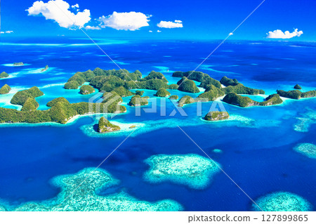 帛琉美麗珊瑚礁海的鳥瞰圖 127899865