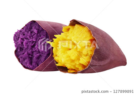 紫薯,地瓜,插畫,寫實 紫薯,地瓜,插畫,寫實 127899891