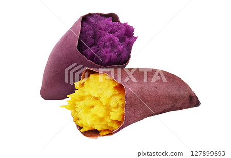 紫薯，地瓜，插畫，寫實 127899893