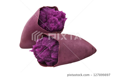 Purple sweet potato, red sweet potato, illustration, realistic 127899897
