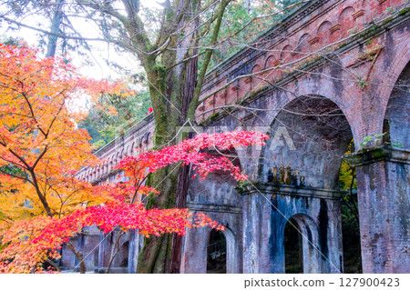 南禪寺、琵琶湖運河的秋葉 127900423