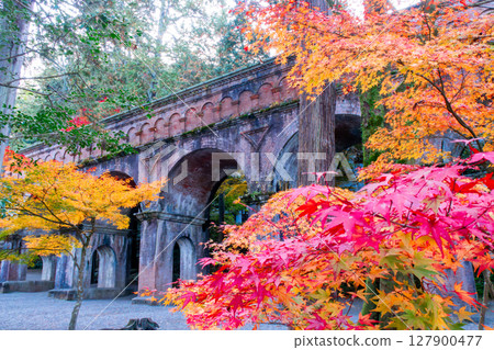Autumn leaves at Nanzenji Temple, Lake Biwa Canal Autumn leaves at Nanzenji Temple, Lake Biwa Canal 127900477
