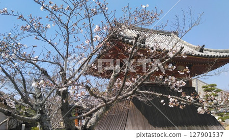 由光明天皇、天平時代的相國分寺、法華寺的住持以及奈良的法華寺創建，正式名稱為法華集齋寺 127901537