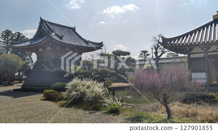 由光明天皇、天平時代的相國分寺、法華寺的住持以及奈良的法華寺創建,正式名稱為法華集齋寺 由光明天皇、天平時代的相國分寺、法華寺的住持以及奈良的法華寺創建,正式名稱為法華集齋寺 127901855
