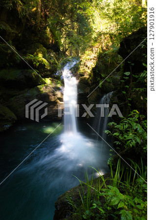 Yanagafuchi Falls and clear streams in Minami Waterside Forest, Gujo City, Gifu Prefecture Yanagafuchi Falls and clear streams in Minami Waterside Forest, Gujo City, Gifu Prefecture 127901916