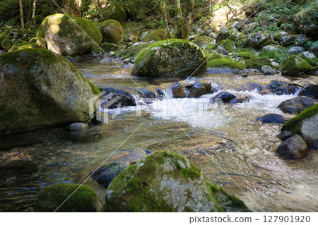 岐阜縣市上市南水邊森林的柳淵瀑布和清澈的溪流 岐阜縣市上市南水邊森林的柳淵瀑布和清澈的溪流 127901920