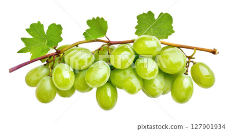 Grape fruit transparent watercolor PNG clipart isolated on white background. 127901934