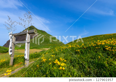 Negai, Sado City, Niigata Prefecture: Tobishima licorice colony on the coast of Sado Island, and Onogame over the torii Negai, Sado City, Niigata Prefecture: Tobishima licorice colony on the coast of Sado Island, and Onogame over the torii 127901957