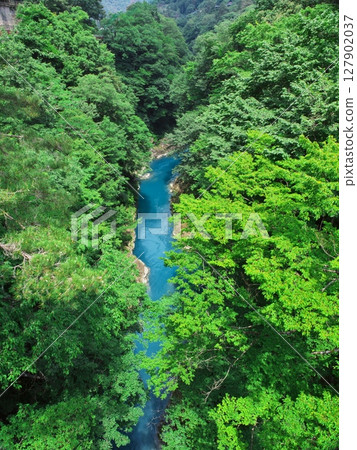 群馬縣，綠意盎然：吾妻峽與激流 127902037