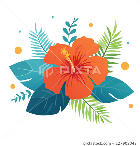 A beautifully blooming hibiscus with a gradation of red and vermilion 127902042