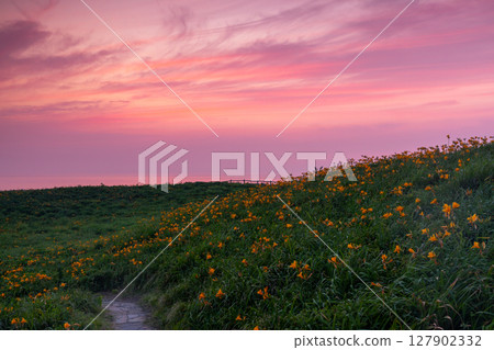 Sunset sky from the Tobishima day lily colony in Onogame, Sotokaifu Coast, Sado Island, Niigata Prefecture 127902332