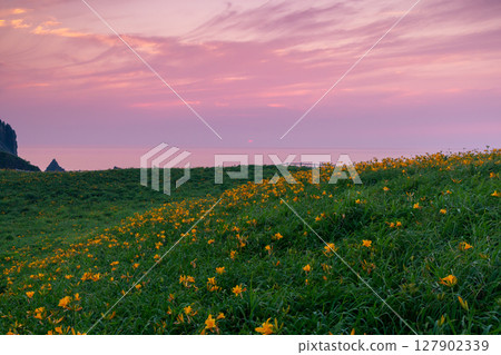 Sunset sky from the Tobishima day lily colony in Onogame, Sotokaifu Coast, Sado Island, Niigata Prefecture 127902339