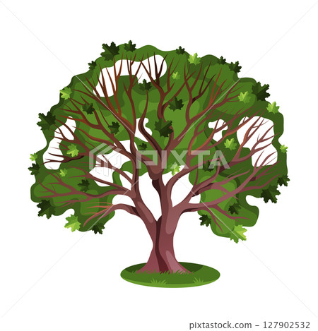 Summer maple plant or tree with foliage. Vector timber or natural trunk. Forest or park flora. Wood for rural or countryside landscape. Forestry conservation and biodiversity. Outdoor wildlife symbol. Summer maple plant or tree with foliage. Vector timber or natural trunk. Forest or park flora. Wood for rural or countryside landscape. Forestry conservation and biodiversity. Outdoor wildlife symbol. 127902532