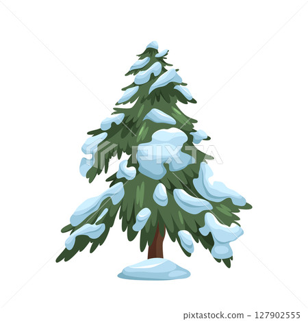 Winter fir tree isolated or snowy evergreen plant. Forest and wood, natural snow park element. Cold forestry timber or trunk. Woodland environment. Flora for new year or Christmas spruce. Botany. Winter fir tree isolated or snowy evergreen plant. Forest and wood, natural snow park element. Cold forestry timber or trunk. Woodland environment. Flora for new year or Christmas spruce. Botany. 127902555
