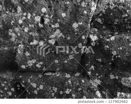 灰階石材紋理背景材料 灰階石材紋理背景材料 127902662