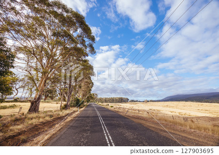 Ellendale Landscape in Tasmania Australia 127903695