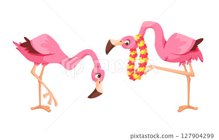 Two Delightful and Charming Pink Flamingos Radiating a Tropical Flair and Unique Style 127904299