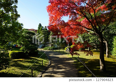 Fall garden of autumn 127904823