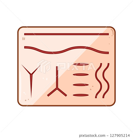 education suture practice pad cartoon vector illustration education suture practice pad cartoon vector illustration 127905214