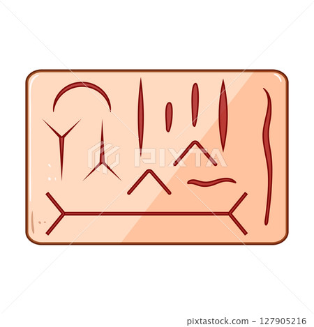 kit suture practice pad cartoon vector illustration kit suture practice pad cartoon vector illustration 127905216