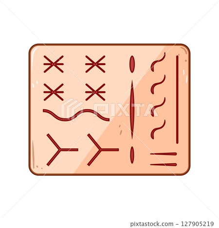 training suture practice pad cartoon vector illustration 127905219