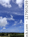 A pleasant blue sky and millet field scenery 127905299