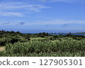 Blue sky, sea and sugarcane fields 127905301