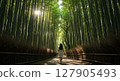 Vivid bamboo forest and woman 127905493
