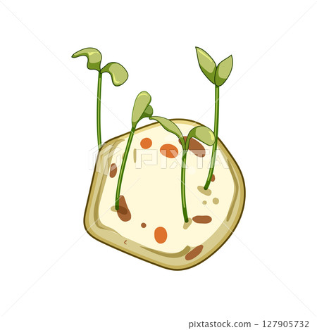 habitat grass seed bomb cartoon vector illustration 127905732