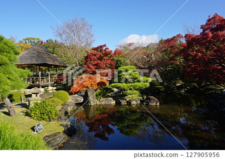 秋葉美麗的好古園：月山池庭園 127905956