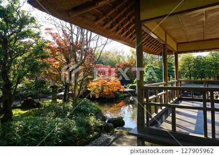 Kokoen Garden with its beautiful autumn leaves and Tsukiyama Pond Garden 127905962