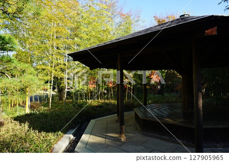 Kokoen Garden in Autumn: Bamboo Garden Kokoen Garden in Autumn: Bamboo Garden 127905965