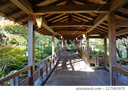 秋季的好古園：迴廊 127905970