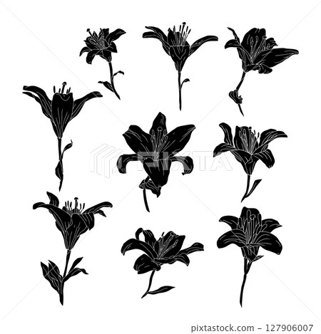 Hand drawn black silhouette of lily bloom with stem and leaf linocut. Monochrome birth month May flower. 127906007