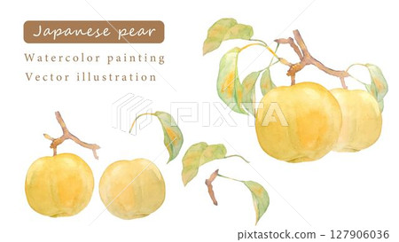 日本梨的水彩畫向量插圖 127906036