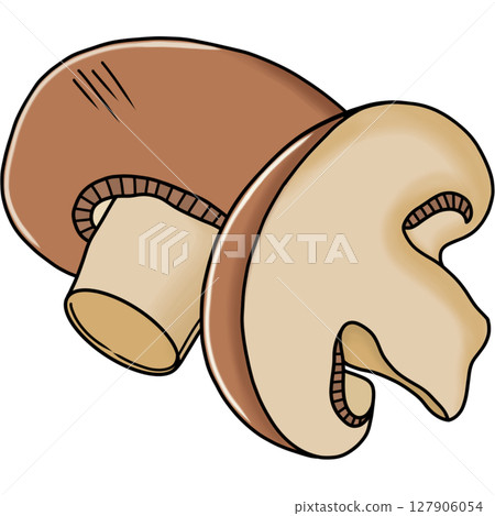 Mushroom  127906054