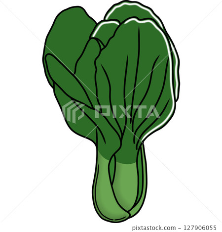 Pak Choi Pak Choi 127906055