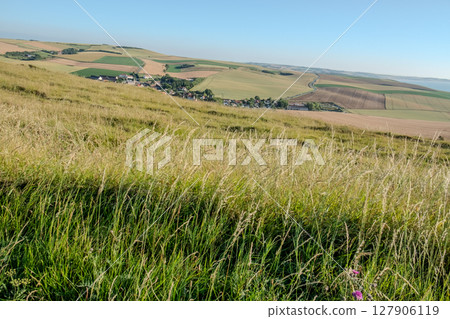 Cap Blanc-Nez, Escalles, Pas-de-Calais, Hauts-de-France, France, July 29th, 2025, A Vibrant and Lush 127906119