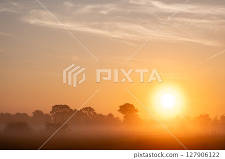 A Serene Sunrise Painted Over a Misty Landscape Awaits Those Who Seek Its Tranquil Beauty A Serene Sunrise Painted Over a Misty Landscape Awaits Those Who Seek Its Tranquil Beauty 127906122